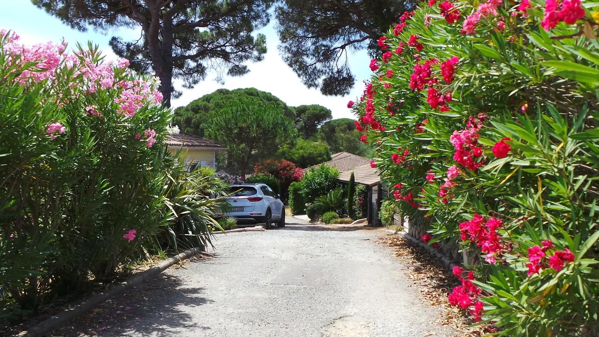 Holiday home La Maison D Oliver Gassin France